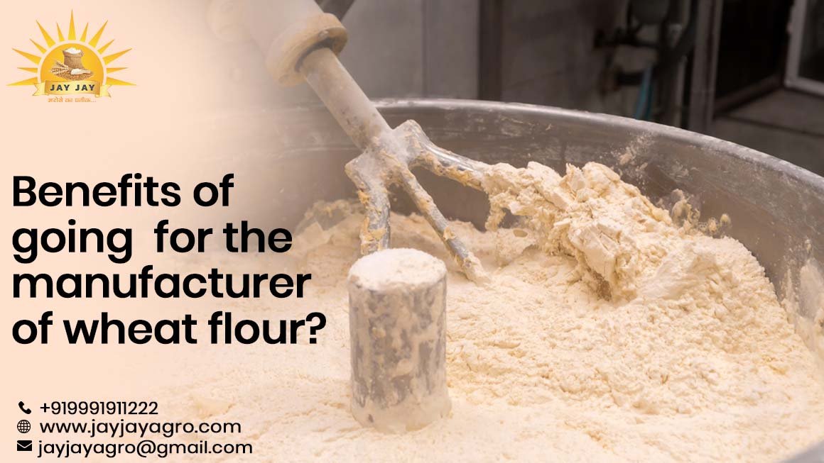 manufacturer of wheat flour